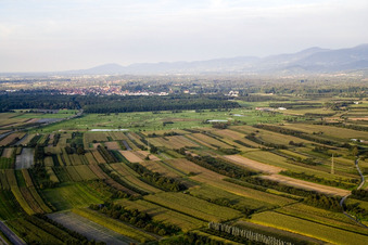 Golf course from the south in the district Urloffen in Appenweier in the state Baden-Wuerttemberg, Germany