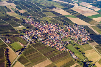 Wine-growing village from the southeast in Impflingen in the state Rhineland-Palatinate, Germany