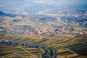 Fields of wine cultivation landscape in Birkweiler in the state Rhineland-Palatinate
