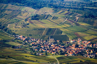 Aerial view of Wine-growing village from the south in Birkweiler in the state Rhineland-Palatinate, Germany