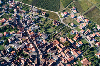 At Daschberg in Birkweiler in the state Rhineland-Palatinate, Germany