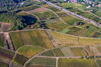 Aerial photograpy of Kastanienbusch vineyard "Keschdebusch in Birkweiler in the state Rhineland-Palatinate, Germany
