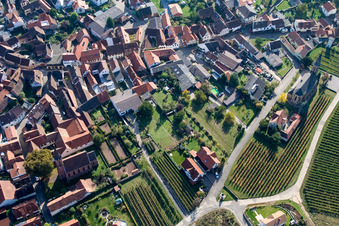 Protestant and Catholic churches in the wine-growing town in Birkweiler in the state Rhineland-Palatinate, Germany
