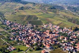 Village - view on the edge of wine yards in Birkweiler in the state Rhineland-Palatinate