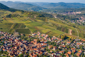 Kastanienbusch vineyard "Keschdebusch in Birkweiler in the state Rhineland-Palatinate, Germany out of the air
