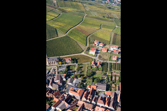 Village - view on the edge of wine yards in Birkweiler in the state Rhineland-Palatinate