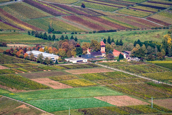 BFA-Geilweilerhof (Vine Research Institute) in Siebeldingen in the state Rhineland-Palatinate, Germany
