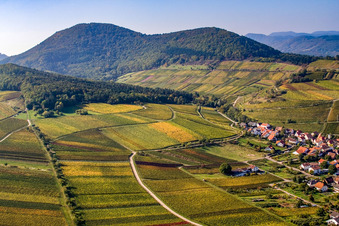Kastanienbusch vineyard "Keschdebusch in Birkweiler in the state Rhineland-Palatinate, Germany seen from above