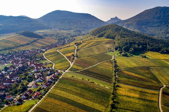 Mandelhain vineyard in Birkweiler in the state Rhineland-Palatinate, Germany