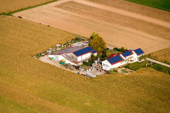 Rosenhof Wine and Sparkling Wine Estate in Steinweiler in the state Rhineland-Palatinate, Germany from above