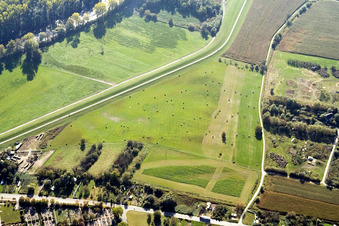 Rhine dam in the district Maximiliansau in Wörth am Rhein in the state Rhineland-Palatinate, Germany