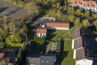 Veterinarian Dagmar Schlegel in Kandel in the state Rhineland-Palatinate, Germany