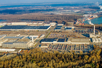 Daimler Trucks from the south in the district Maximiliansau in Wörth am Rhein in the state Rhineland-Palatinate, Germany