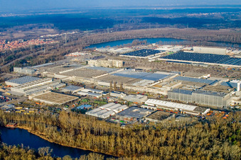 Aerial view of Daimler Trucks from the south in the district Maximiliansau in Wörth am Rhein in the state Rhineland-Palatinate, Germany