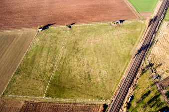 Horse paddocks at the train station in Steinweiler in the state Rhineland-Palatinate, Germany