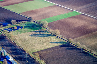 Fields in Steinweiler in the state Rhineland-Palatinate, Germany