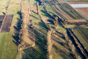 Fields and hedges west of Windener Mühle in Hergersweiler in the state Rhineland-Palatinate, Germany