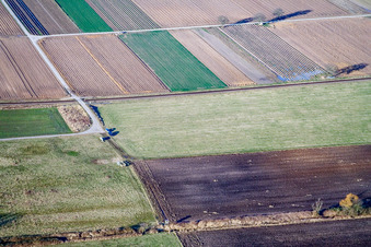 Aerial view of Billigheimer Bruch Biotop in the district Mühlhofen in Billigheim-Ingenheim in the state Rhineland-Palatinate, Germany