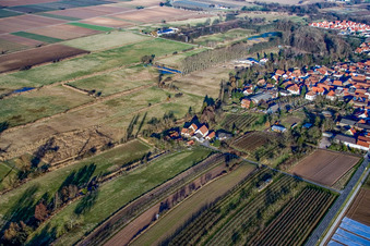 Billigheimer Bruch biotope in Winden in the state Rhineland-Palatinate, Germany