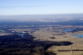 Rhine meadows in the west of Jockgrim in Jockgrim in the state Rhineland-Palatinate, Germany