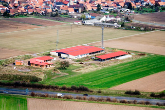 Chicken farm egg farm in Erlenbach bei Kandel in the state Rhineland-Palatinate, Germany viewn from the air