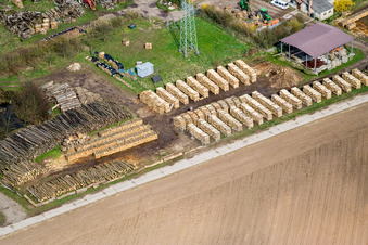Firewood storage in Erlenbach bei Kandel in the state Rhineland-Palatinate, Germany