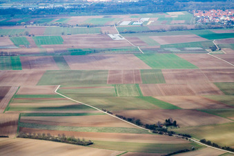 Fields in Offenbach an der Queich in the state Rhineland-Palatinate, Germany