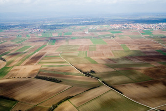 Aerial view of Fields in Offenbach an der Queich in the state Rhineland-Palatinate, Germany