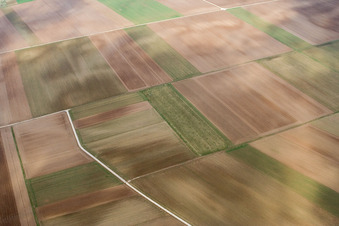 Aerial photograpy of Fields in Offenbach an der Queich in the state Rhineland-Palatinate, Germany