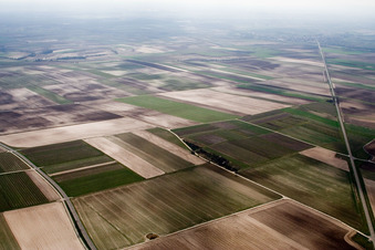 Fields between Insheim and Herxheim in Offenbach an der Queich in the state Rhineland-Palatinate, Germany