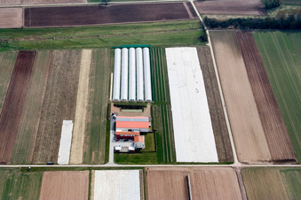 Aussiedlerhof Steegmüller in Offenbach an der Queich in the state Rhineland-Palatinate, Germany