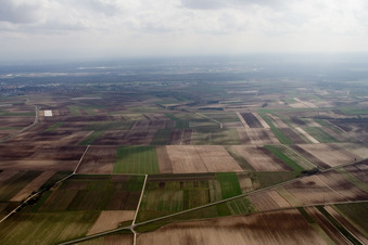 Aerial view of Fields between Insheim and Herxheim in Offenbach an der Queich in the state Rhineland-Palatinate, Germany