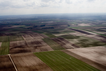 Aerial photograpy of Fields between Insheim and Herxheim in Offenbach an der Queich in the state Rhineland-Palatinate, Germany