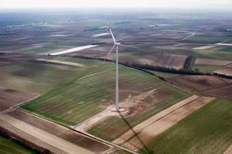 Oblique view of Wind turbines in Ottersheim bei Landau in the state Rhineland-Palatinate, Germany