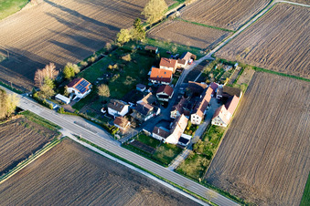 Drone recording of Welschhof in Freckenfeld in the state Rhineland-Palatinate, Germany