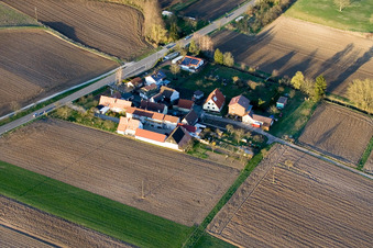 Welschhof in Freckenfeld in the state Rhineland-Palatinate, Germany from a drone