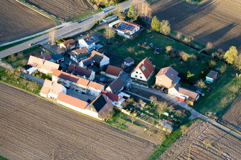 Welschhof in Freckenfeld in the state Rhineland-Palatinate, Germany seen from a drone