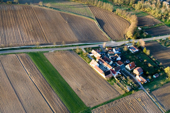 Welschhof in Freckenfeld in the state Rhineland-Palatinate, Germany seen from above