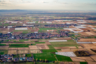 View of the town from the south in the district Niederlustadt in Lustadt in the state Rhineland-Palatinate, Germany