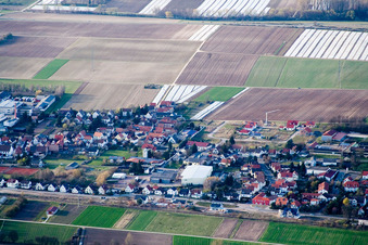 Aerial photograpy of View of the town from the south in the district Niederlustadt in Lustadt in the state Rhineland-Palatinate, Germany