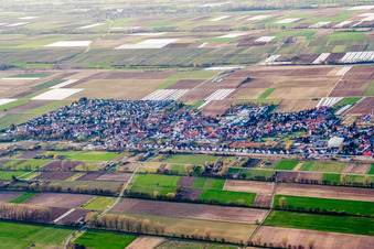 Oblique view of View of the town from the south in the district Niederlustadt in Lustadt in the state Rhineland-Palatinate, Germany