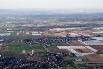 Village - view on the edge of agricultural fields and farmland in Weingarten (Pfalz) in the state Rhineland-Palatinate, Germany from above