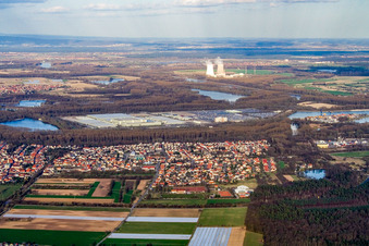 Aerial view of View of the town from the west in Lingenfeld in the state Rhineland-Palatinate, Germany
