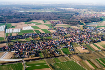 View of the town from the south in Schwegenheim in the state Rhineland-Palatinate, Germany