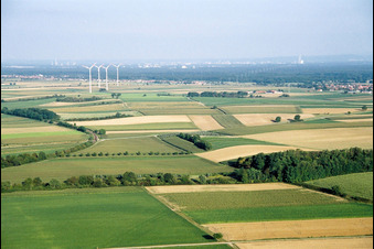 Wind turbines of the Minfeldder wind farm in Minfeld in the state Rhineland-Palatinate, Germany