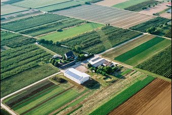 Farmer's Garden in Winden in the state Rhineland-Palatinate, Germany seen from above