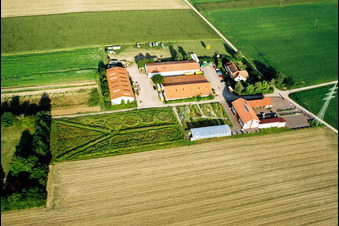 Bird's eye view of Schoßberghof in Minfeld in the state Rhineland-Palatinate, Germany