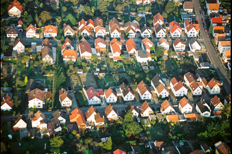 Birkenstraße Waldstr in Kandel in the state Rhineland-Palatinate, Germany