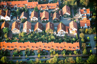 Walnut Avenue, In the Cherry Orchard in Kandel in the state Rhineland-Palatinate, Germany