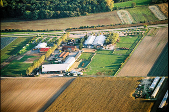 Adamshof from the north in Kandel in the state Rhineland-Palatinate, Germany